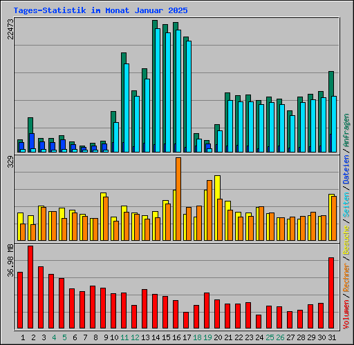 Tages-Statistik im Monat Januar 2025