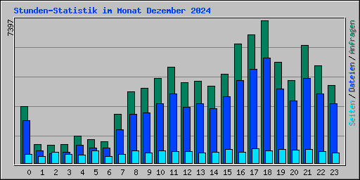 Stunden-Statistik im Monat Dezember 2024