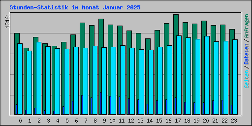 Stunden-Statistik im Monat Januar 2025