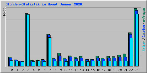 Stunden-Statistik im Monat Januar 2026